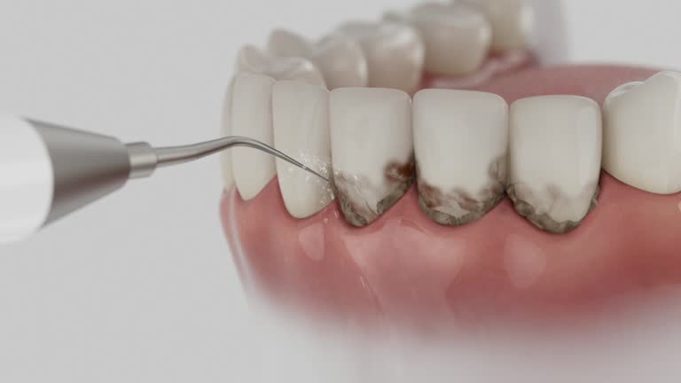 Reliable Dental contractor in Winchester, VA by Dentist Open Now
